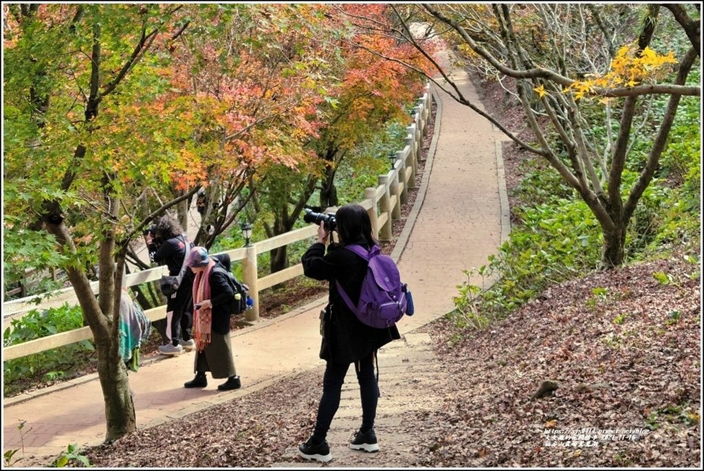 福壽山農場鴛鴦湖-2021-11-71.jpg