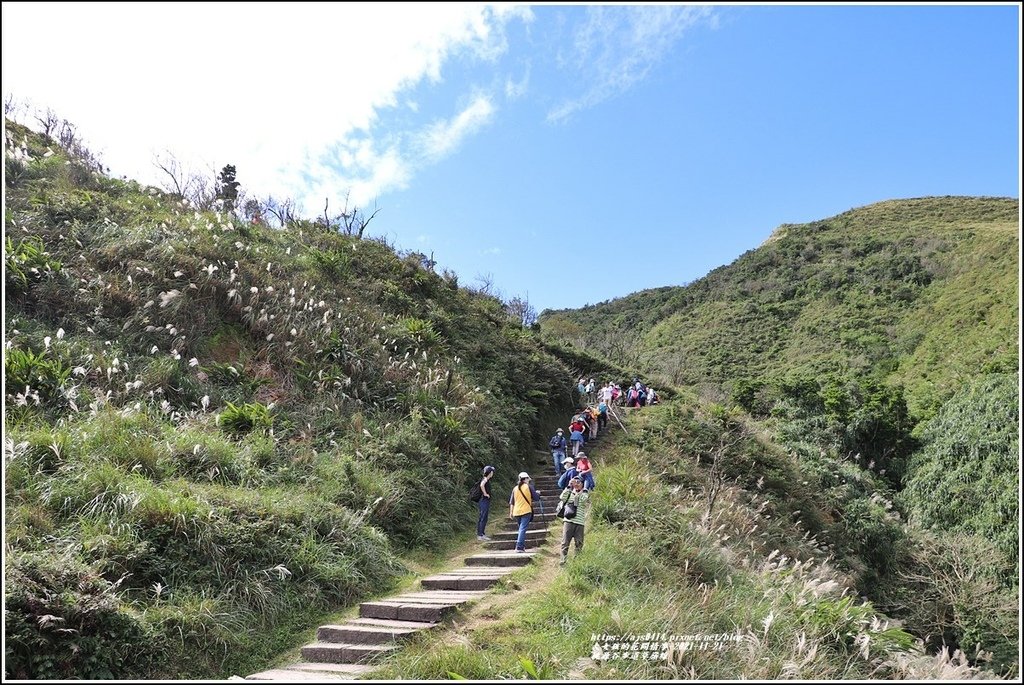 桃源谷步道草嶺線-2021-11-19.jpg