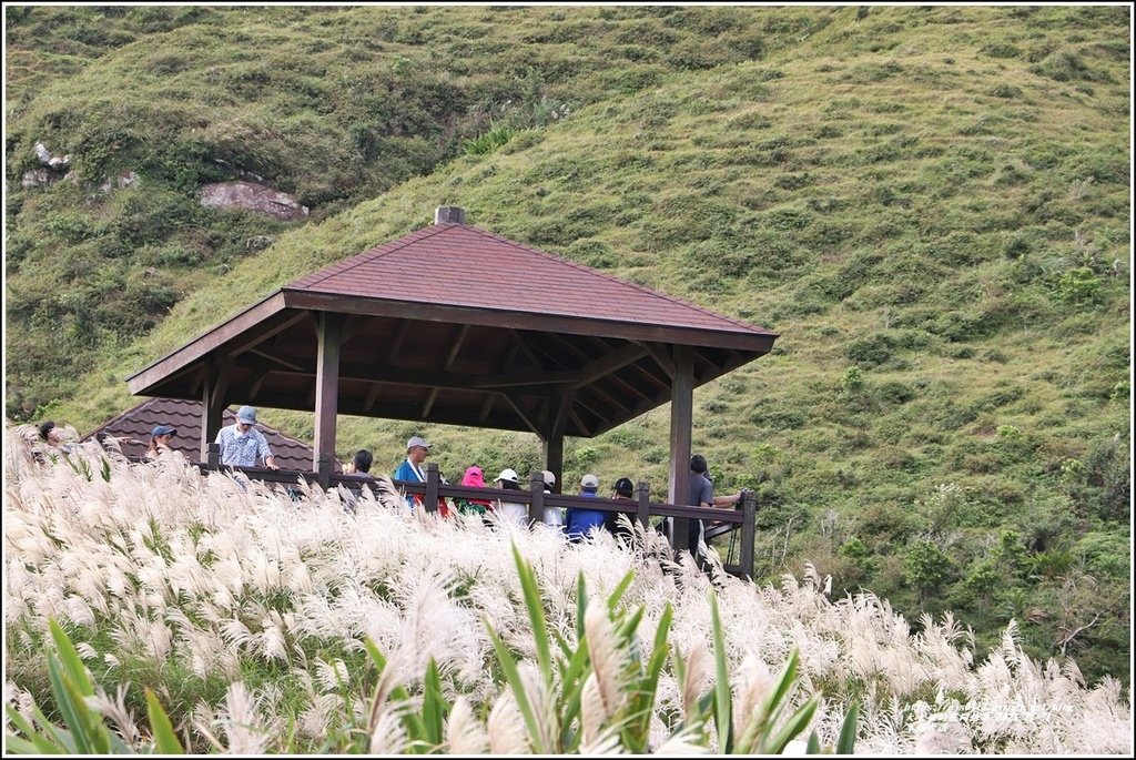 草嶺古道-2021-11-64.jpg