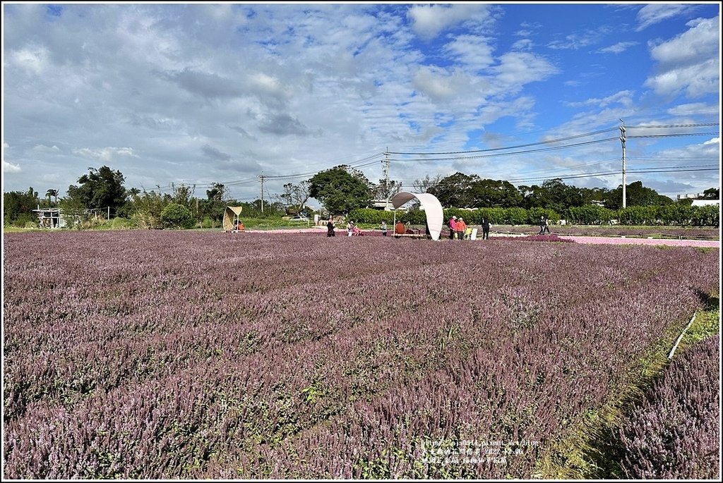 桃園花彩節-楊梅仙草花節-2022-12-34.jpg