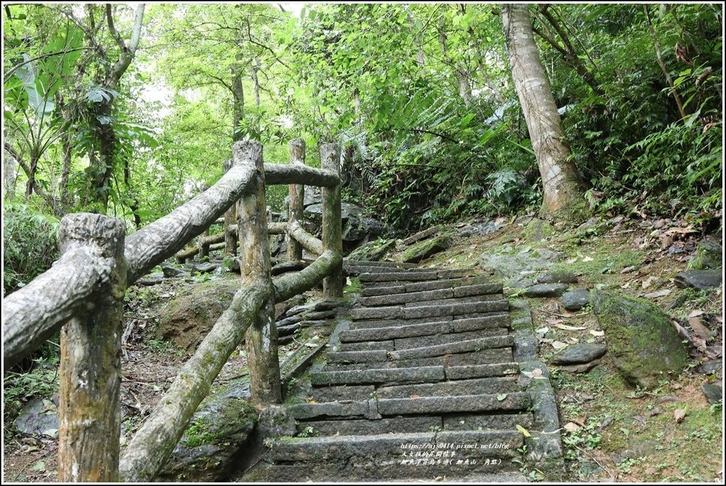 鯉魚潭賞鳥步道( 鯉魚山三角點)-2023-04-29-03.jpg