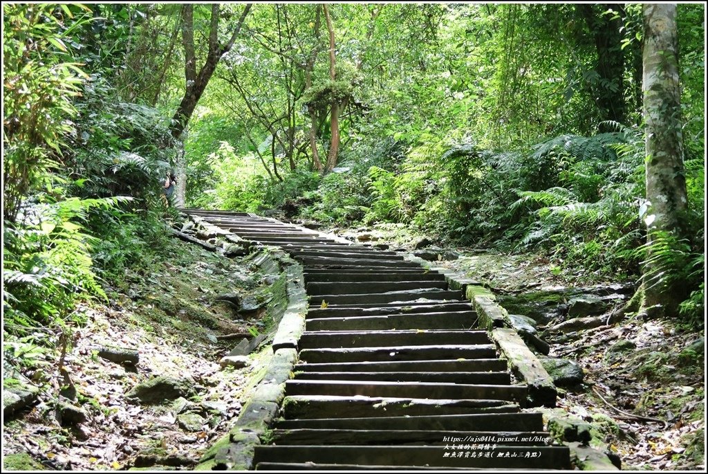 鯉魚潭賞鳥步道( 鯉魚山三角點)-2023-04-29-04.jpg