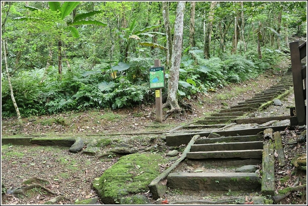 鯉魚潭賞鳥步道( 鯉魚山三角點)-2023-04-29-08.jpg