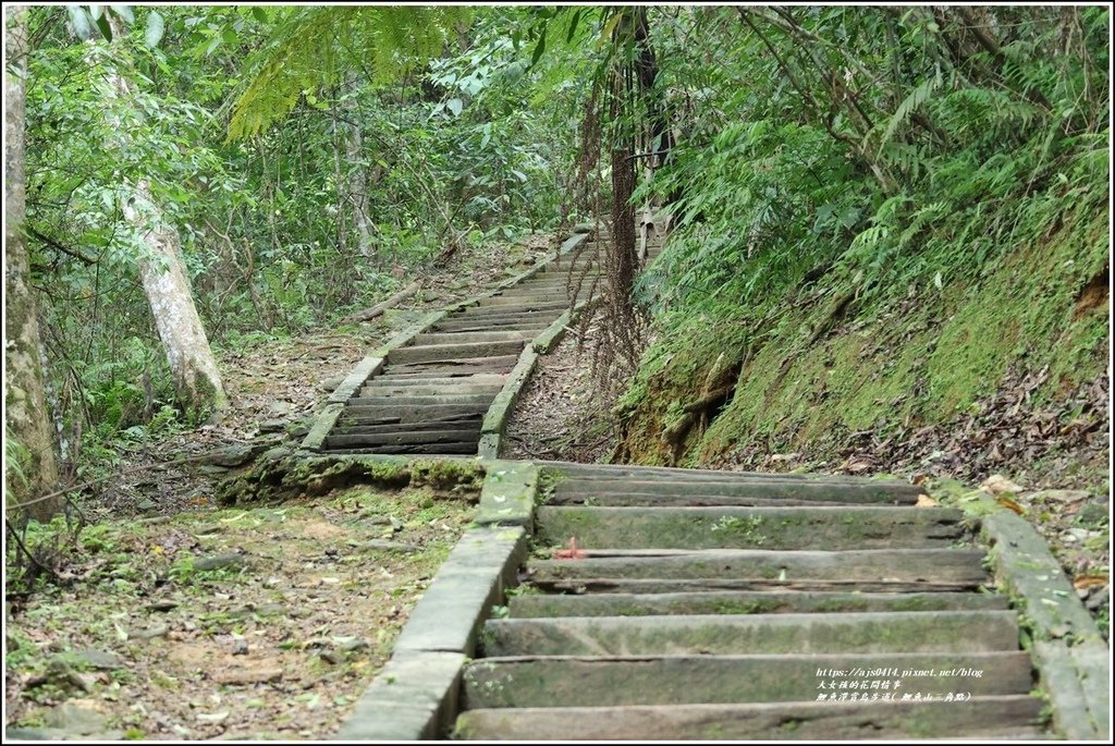 鯉魚潭賞鳥步道( 鯉魚山三角點)-2023-04-29-11.jpg