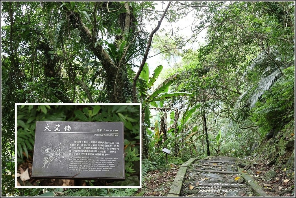 鯉魚潭賞鳥步道( 鯉魚山三角點)-2023-04-29-23.jpg