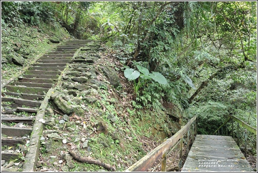 鯉魚潭賞鳥步道( 鯉魚山三角點)-2023-04-29-22.jpg