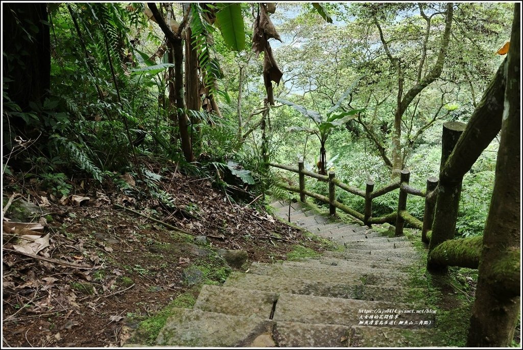 鯉魚潭賞鳥步道( 鯉魚山三角點)-2023-04-29-27.jpg