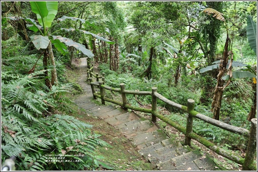 鯉魚潭賞鳥步道( 鯉魚山三角點)-2023-04-29-26.jpg