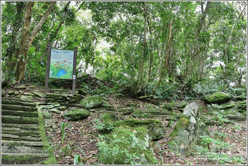 鯉魚潭賞鳥步道( 鯉魚山三角點)-2023-04-29-31.jpg