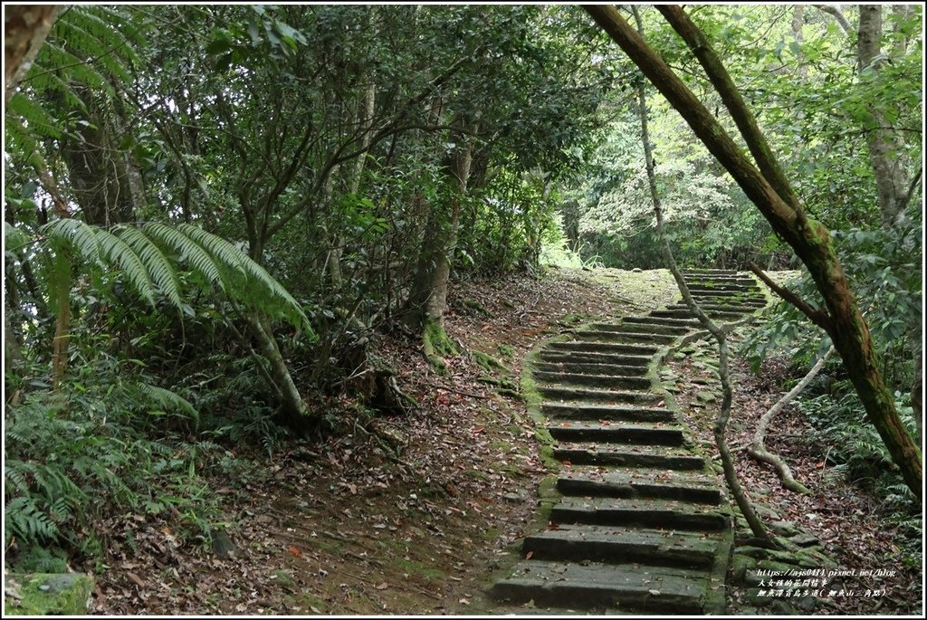 鯉魚潭賞鳥步道( 鯉魚山三角點)-2023-04-29-32.jpg