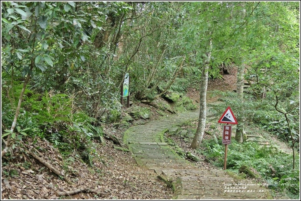 鯉魚潭賞鳥步道( 鯉魚山三角點)-2023-04-29-37.jpg