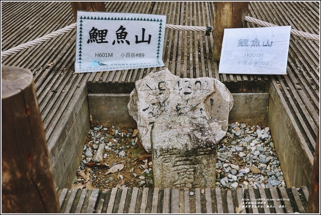 鯉魚潭賞鳥步道( 鯉魚山三角點)-2023-04-29-41.jpg