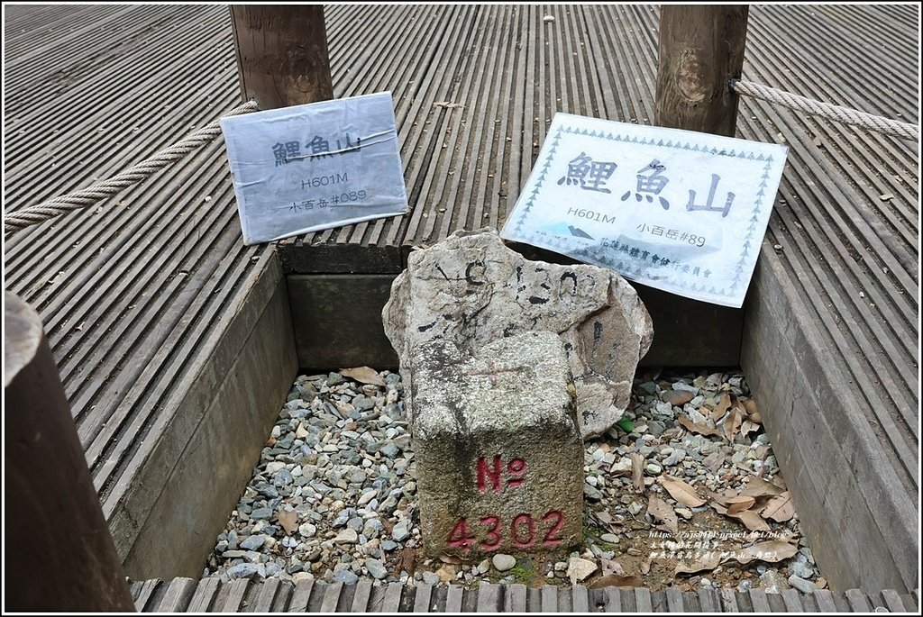 鯉魚潭賞鳥步道( 鯉魚山三角點)-2023-04-29-42.jpg