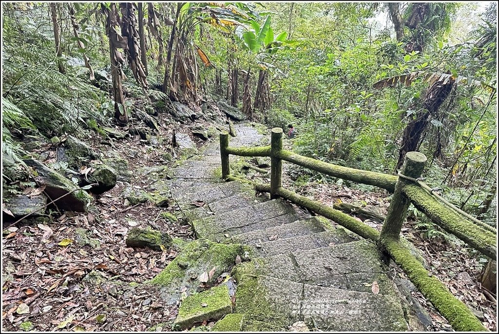 鯉魚潭賞鳥步道( 鯉魚山三角點)-2023-04-29-56.jpg