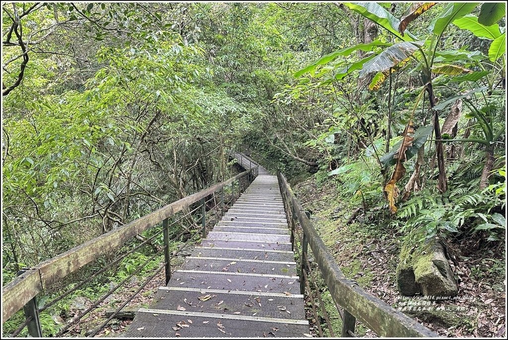 鯉魚潭賞鳥步道( 鯉魚山三角點)-2023-04-29-57.jpg