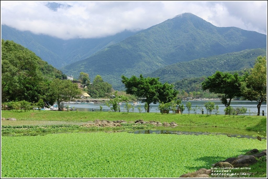 鯉魚潭賞鳥步道( 鯉魚山三角點)-2023-04-29-78.jpg