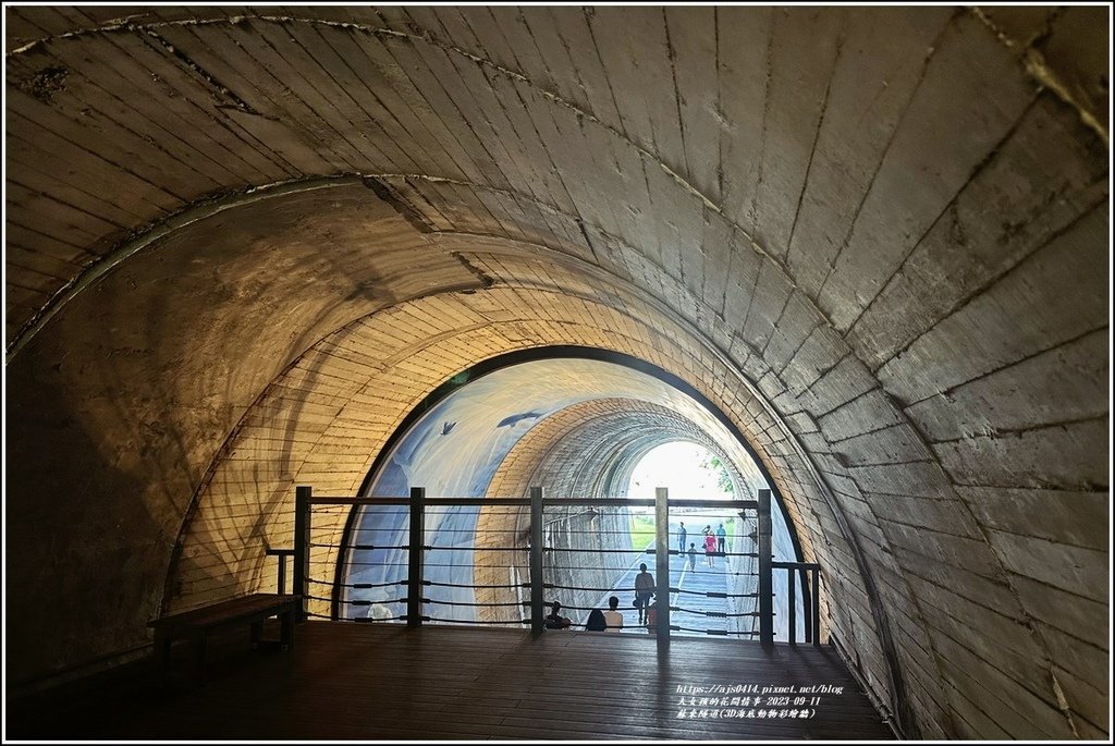 蘇東隧道(3D海底動物彩繪牆)-2023-09-11-11.jpg