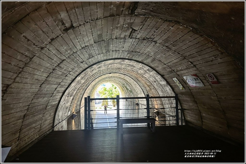 蘇東隧道(3D海底動物彩繪牆)-2023-09-11-10.jpg