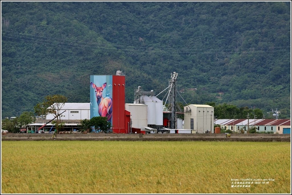 關山達谷梵秘境-2023-10-29-09.jpg