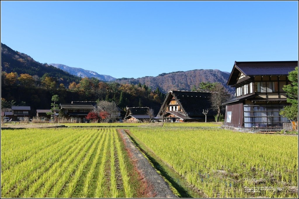 岐阜縣白川鄉合掌屋-2023-11-21-55.jpg