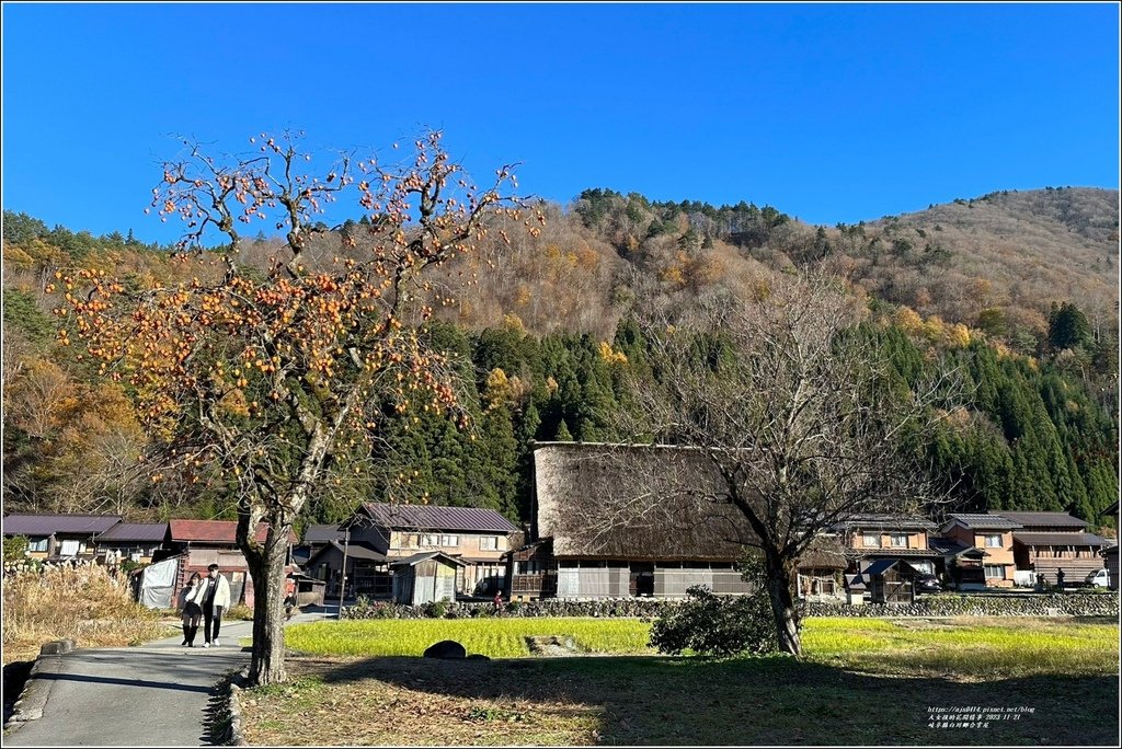 岐阜縣白川鄉合掌屋-2023-11-21-95.jpg