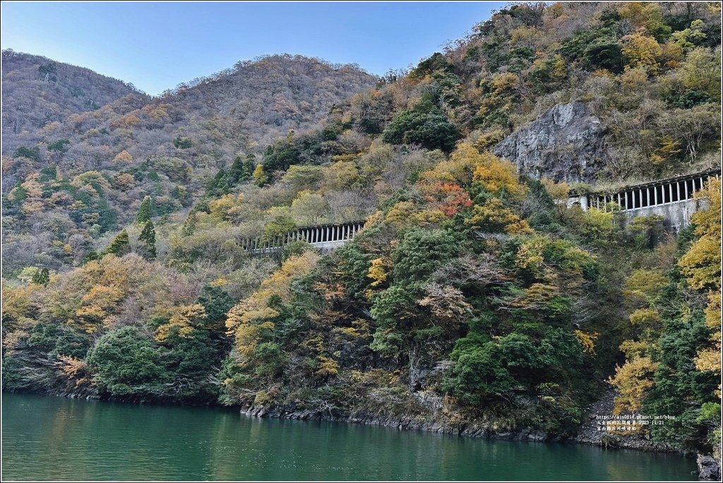 富山縣庄川峽遊船-2023-11-21-10.jpg