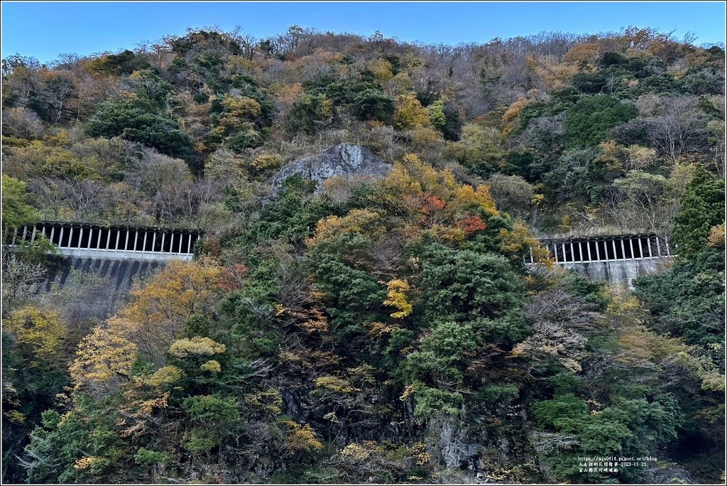 富山縣庄川峽遊船-2023-11-21-16.jpg