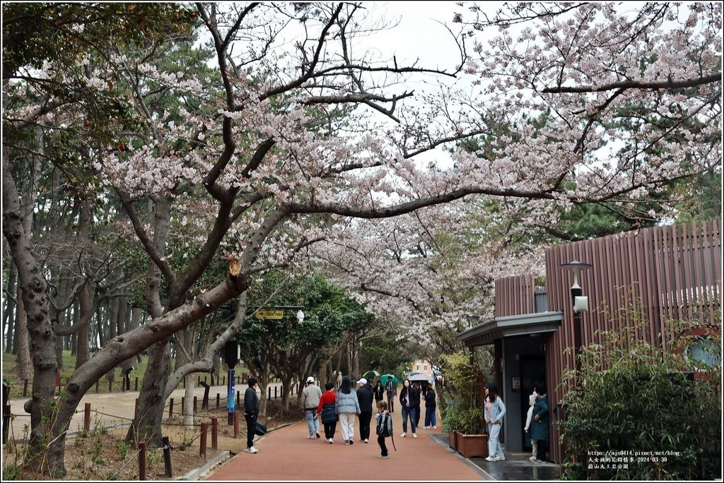 蔚山大王岩公園-2024-03-30-15.jpg