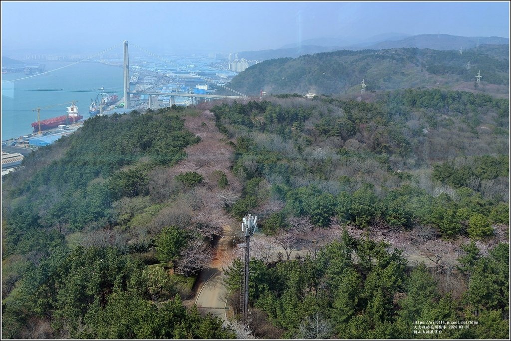 蔚山大橋展望台-2024-03-30-13.jpg