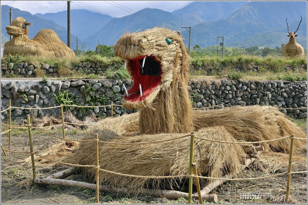 富里農會稻草藝術季-2024-12-29-08.jpg