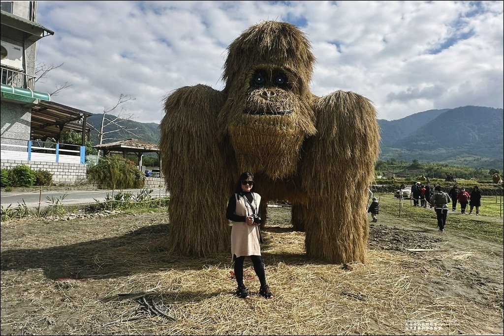 富里農會稻草藝術季-2024-12-29-35.jpg