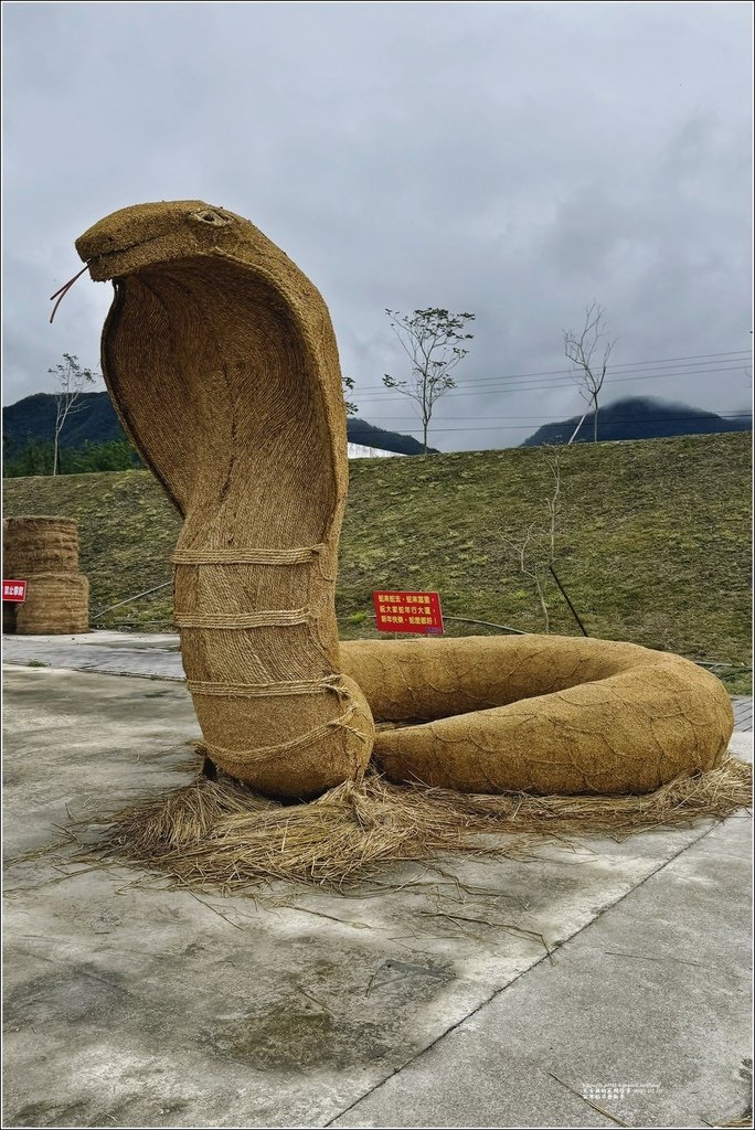 花蓮富里鄉稻草藝術季-2025-02-02-16.jpg