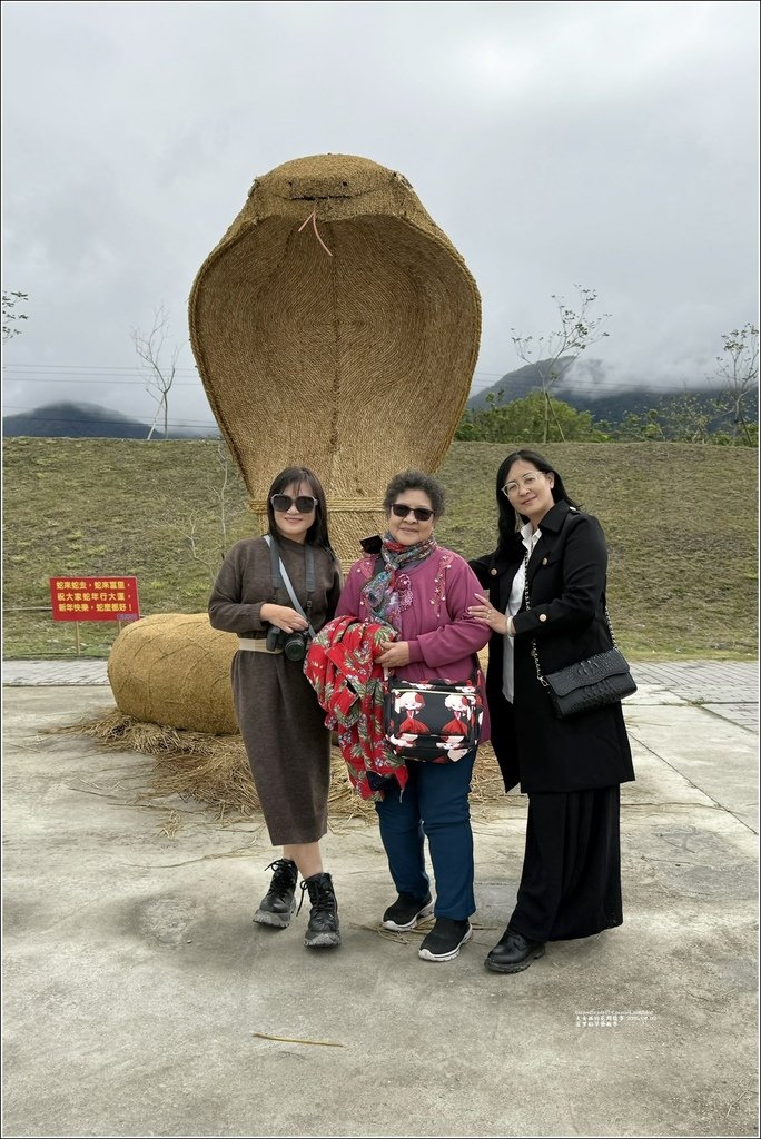 花蓮富里鄉稻草藝術季-2025-02-02-19.jpg