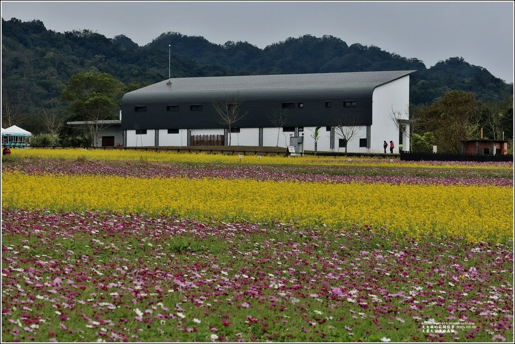 大農大富平地森林-2025-02-09-19.jpg