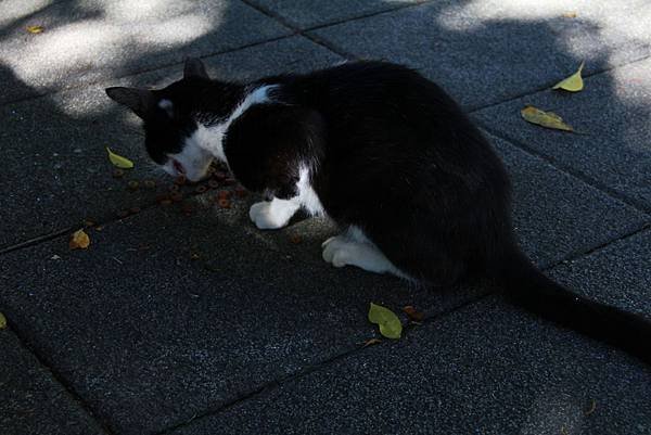 2013.07.09-11 跟老婆一起出門的台北自由行 (167).JPG