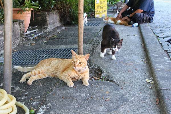 2013.07.09-11 跟老婆一起出門的台北自由行 (182).JPG