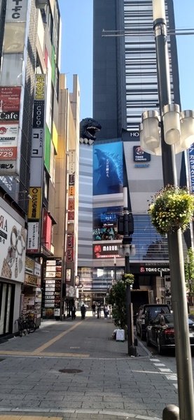 jpg20190523_075307.jpg