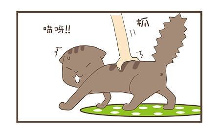 貓咪的日常3-4.jpg