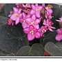 IMG_0838