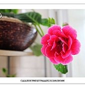 IMG_2328.JPG