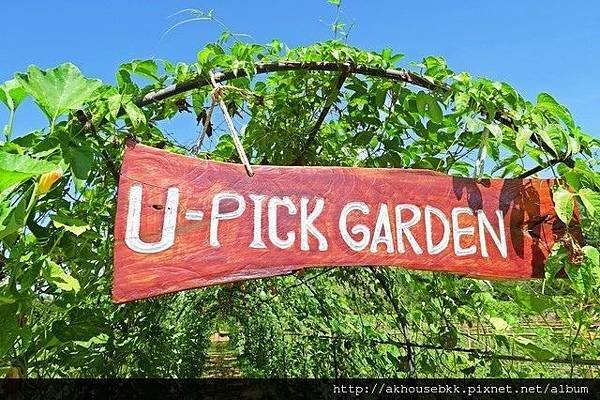 U-PICK GARGEN