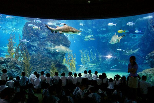 Siam-Ocean-World (1)