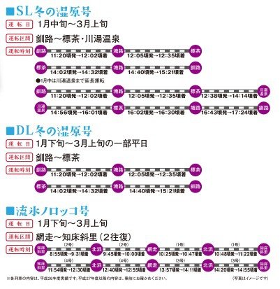 41JR觀光列車(冬).jpg