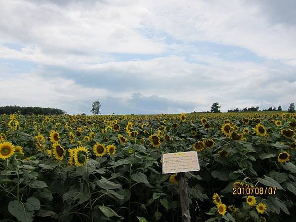 IMG_1879.JPG