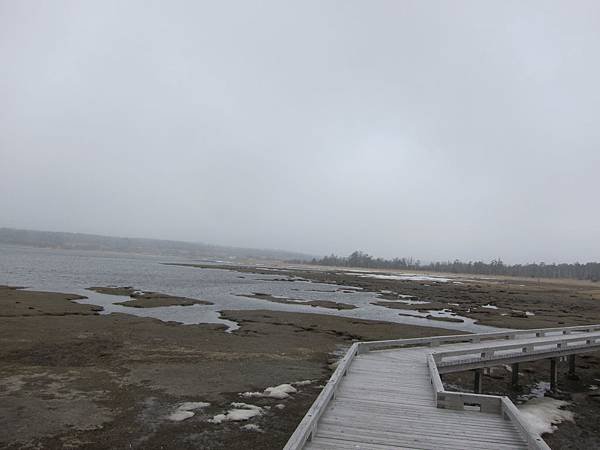 IMG_3899.JPG
