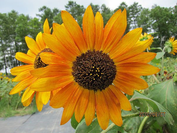 IMG_1900.JPG