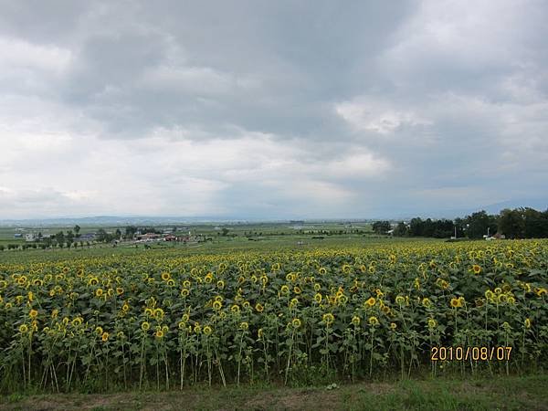 IMG_1811.JPG