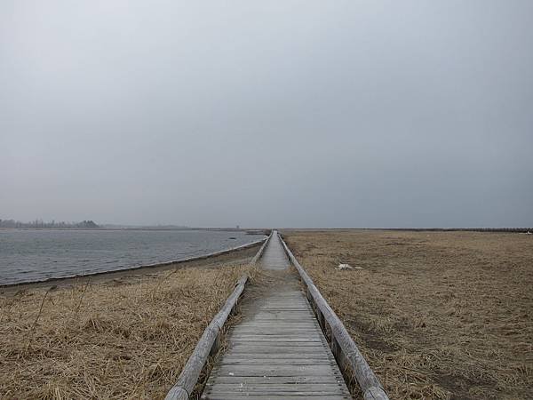 IMG_3884.JPG