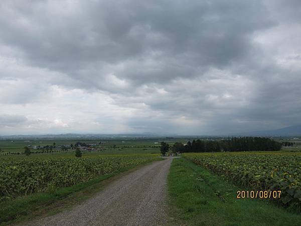IMG_1806.JPG