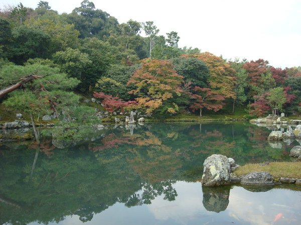 天龍寺-庭園2.JPG